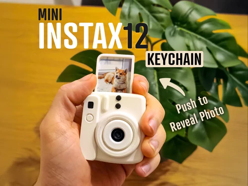 Porte-clés Mini Instax Fidget