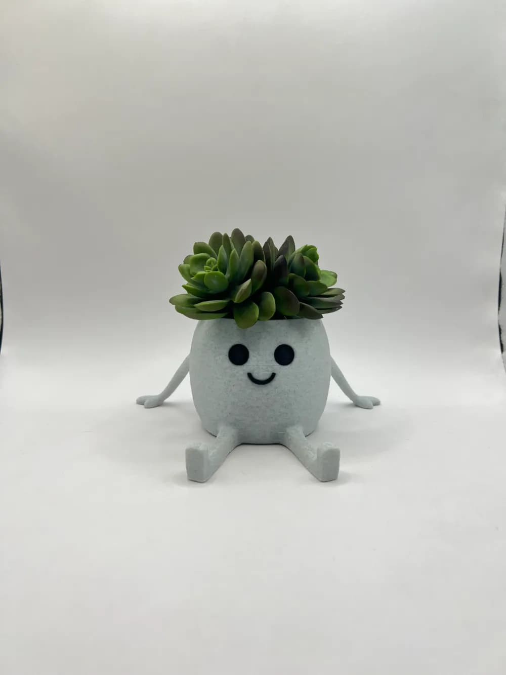 Pot Happy - Mini Jardinière Succulente