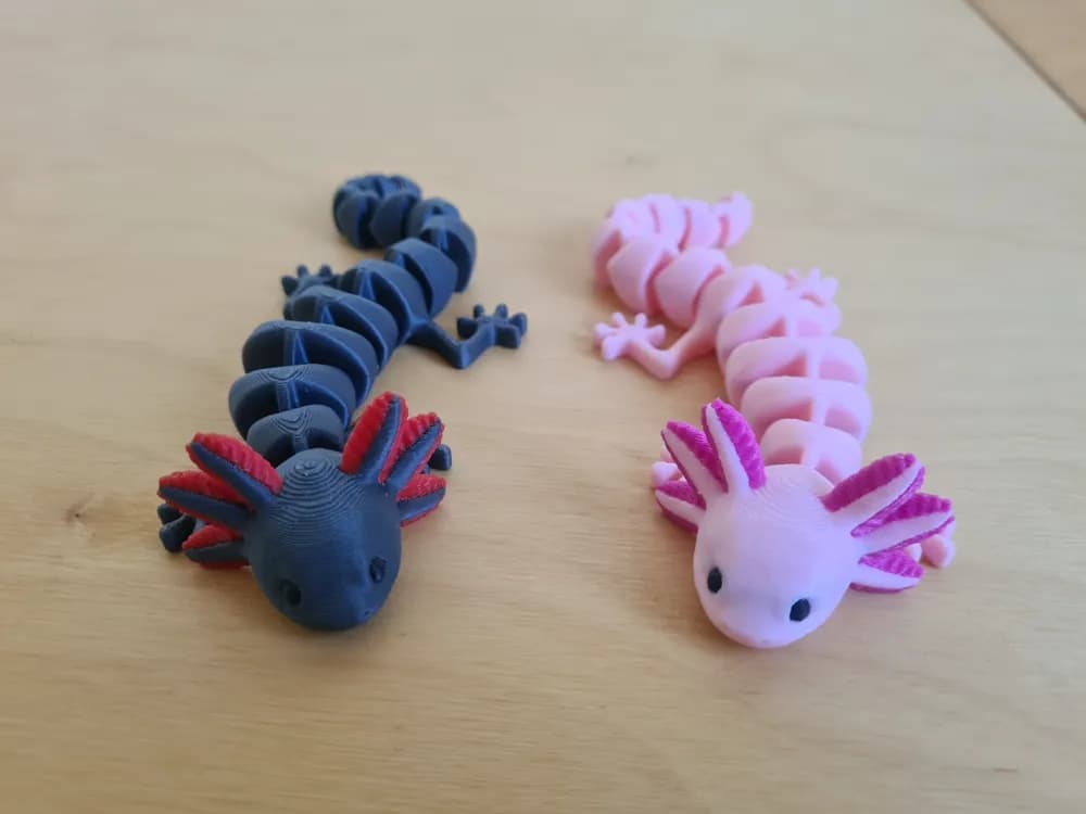 Axolotl Articulé Multicolore - Image 2