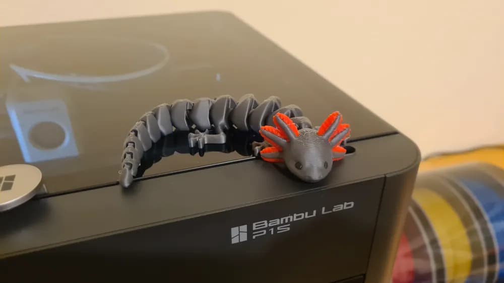 Axolotl Articulé Multicolore - Image 3