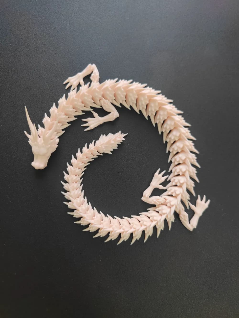 Petit Dragon Blanc - Image 2