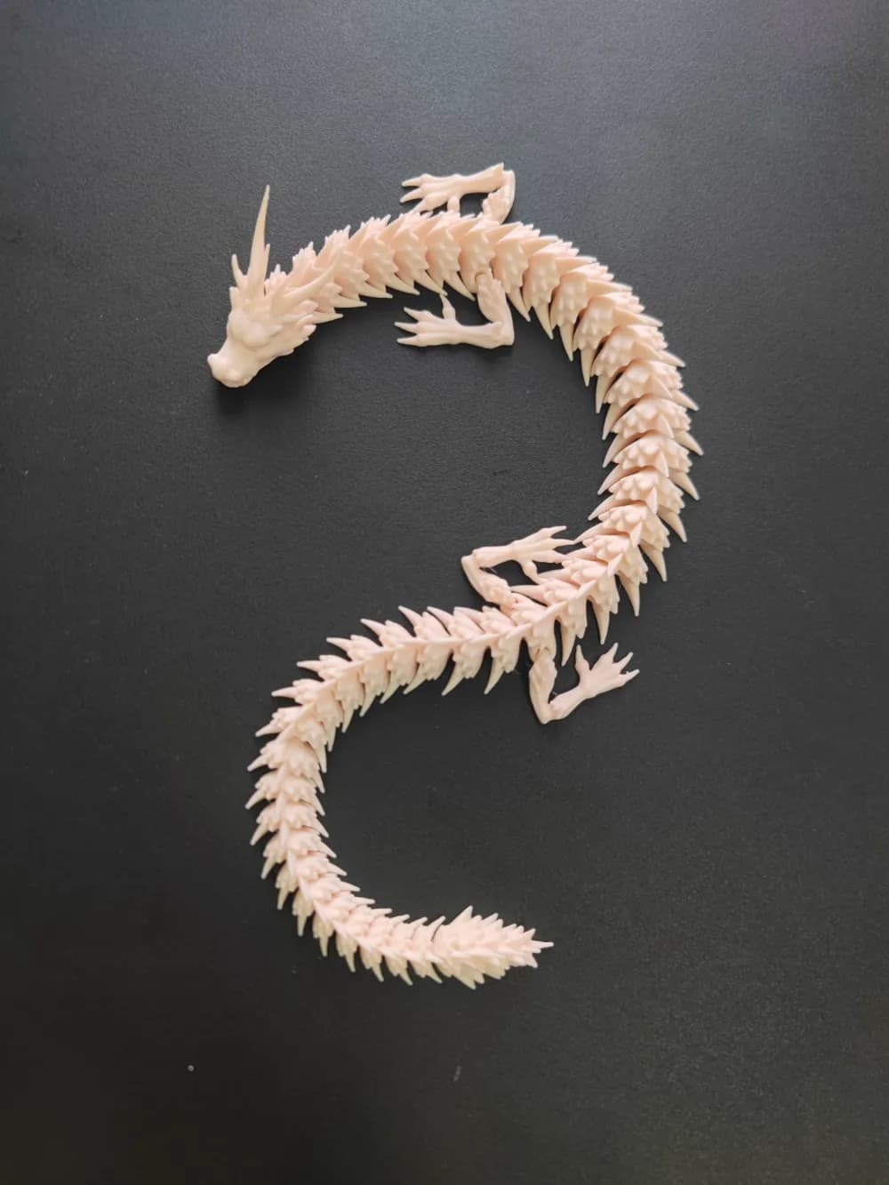 Petit Dragon Blanc - Image 3