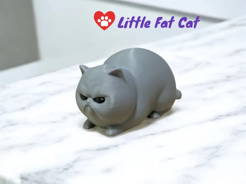 Petit Chat Grincheux