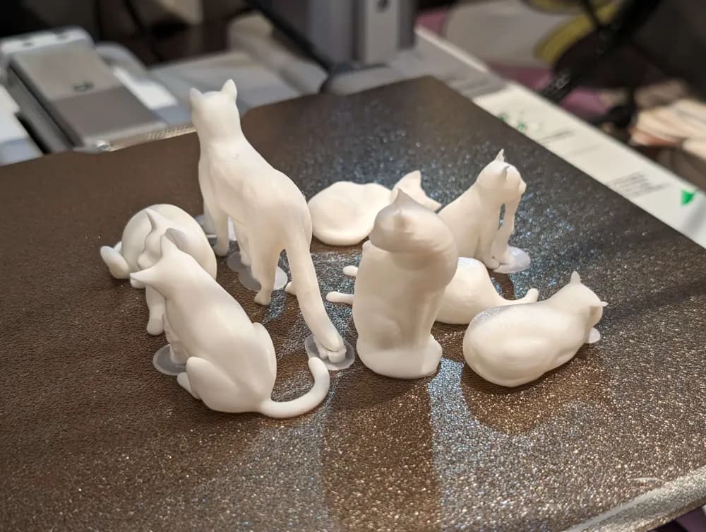 Collection de Chats - Image 2