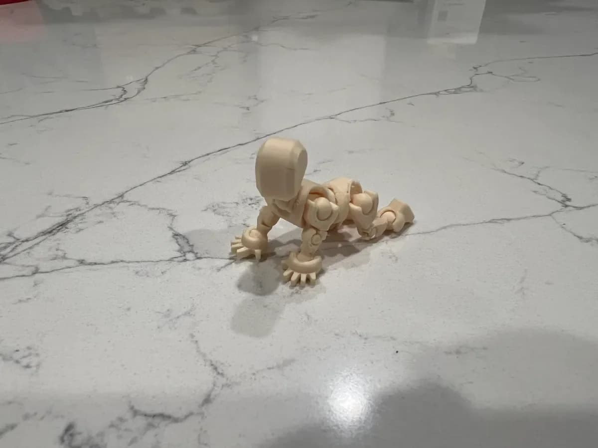 Bébé 13 - Dummy 13 Échelle Bébé - Beta - Image 3