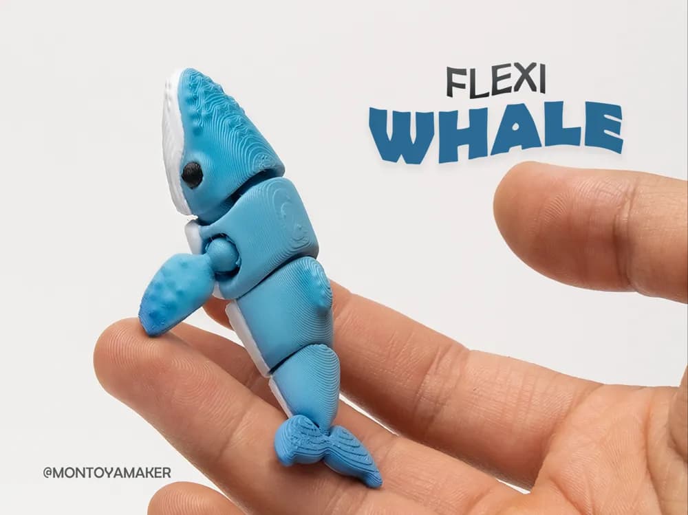 Baleine flexi 