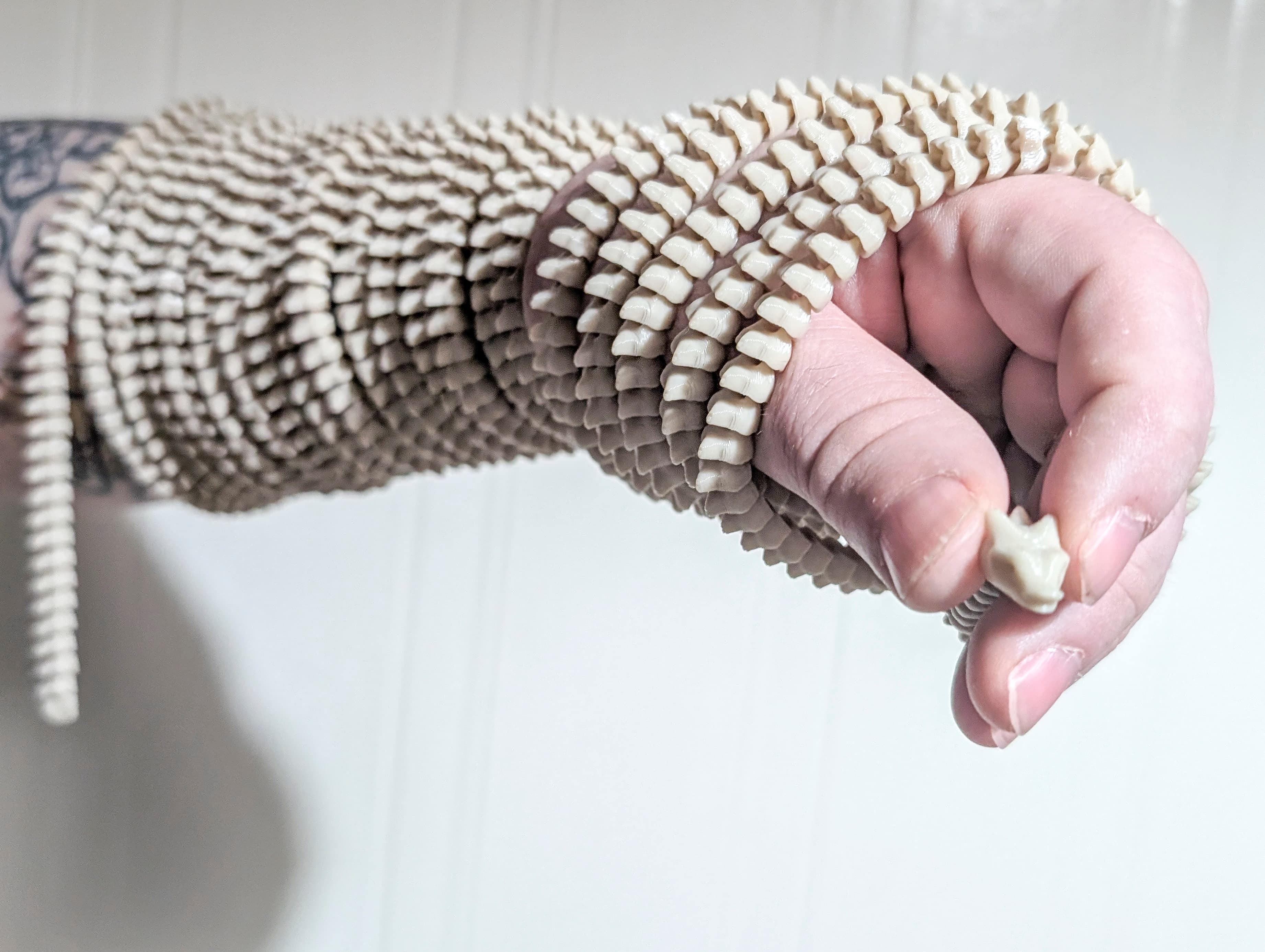 Cm Tiny Flexible Spiny Dragon - Image 3