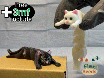 Lapin Flexi Mignon - Image 5