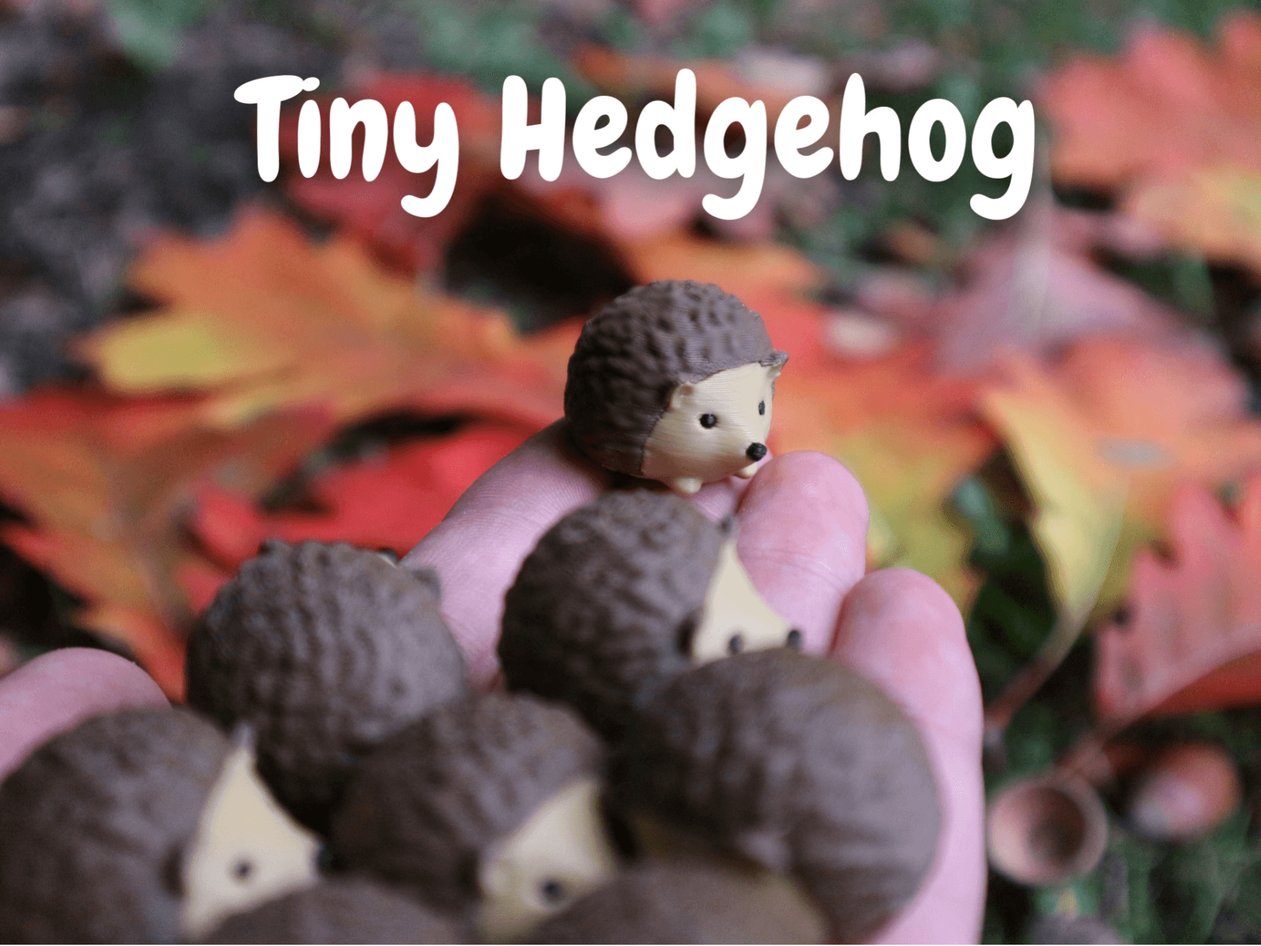 Mignon Tiny Hérisson Porte-clés Version