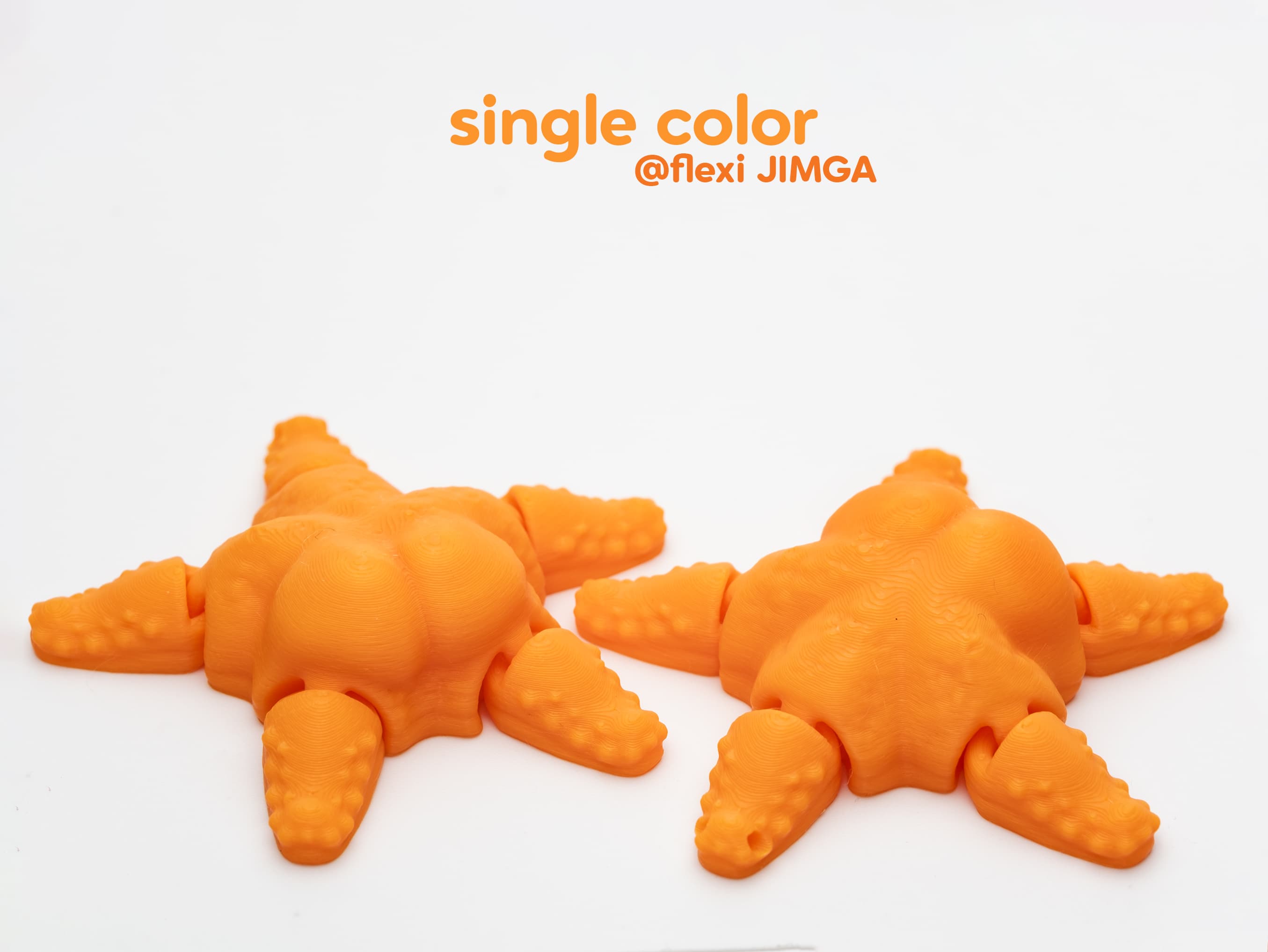 Porte-clés Étoile de Mer Articulée - Image 3