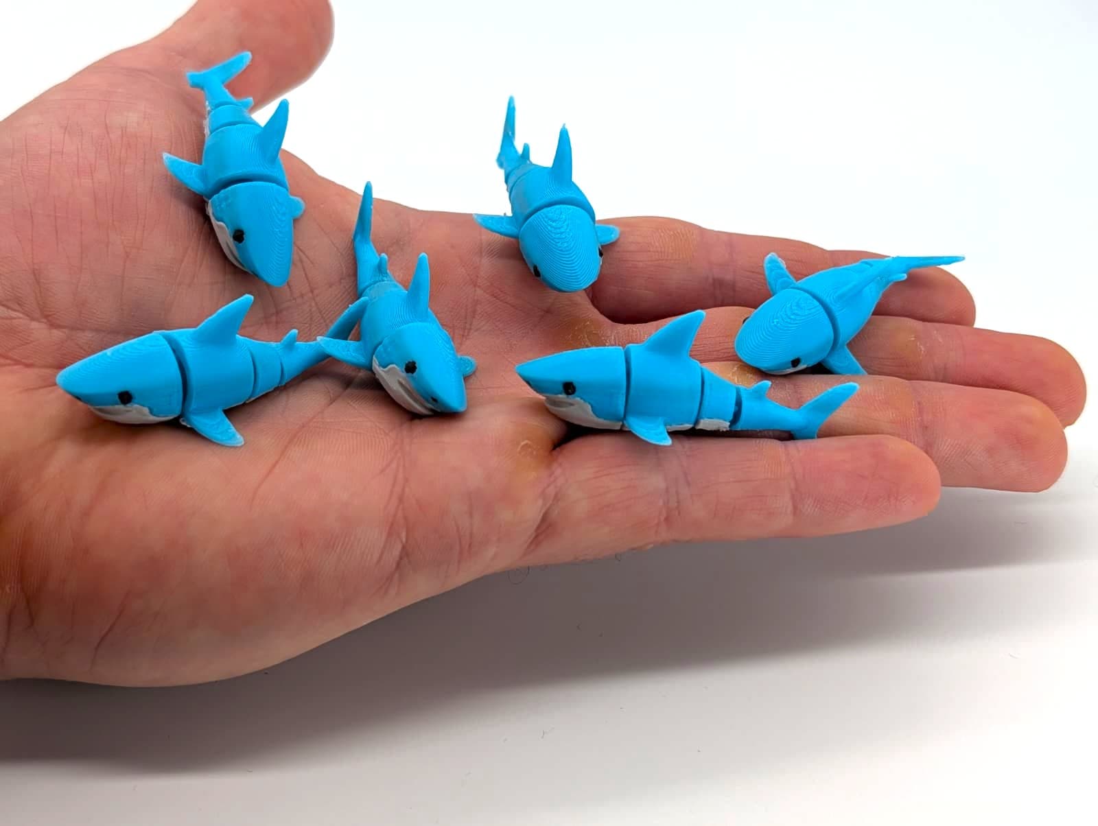 Tiny Requin - Image 2