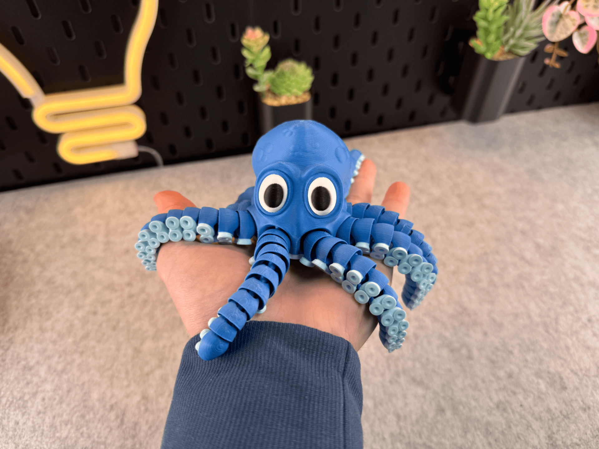 Chien Mignon Flexi - Image 4