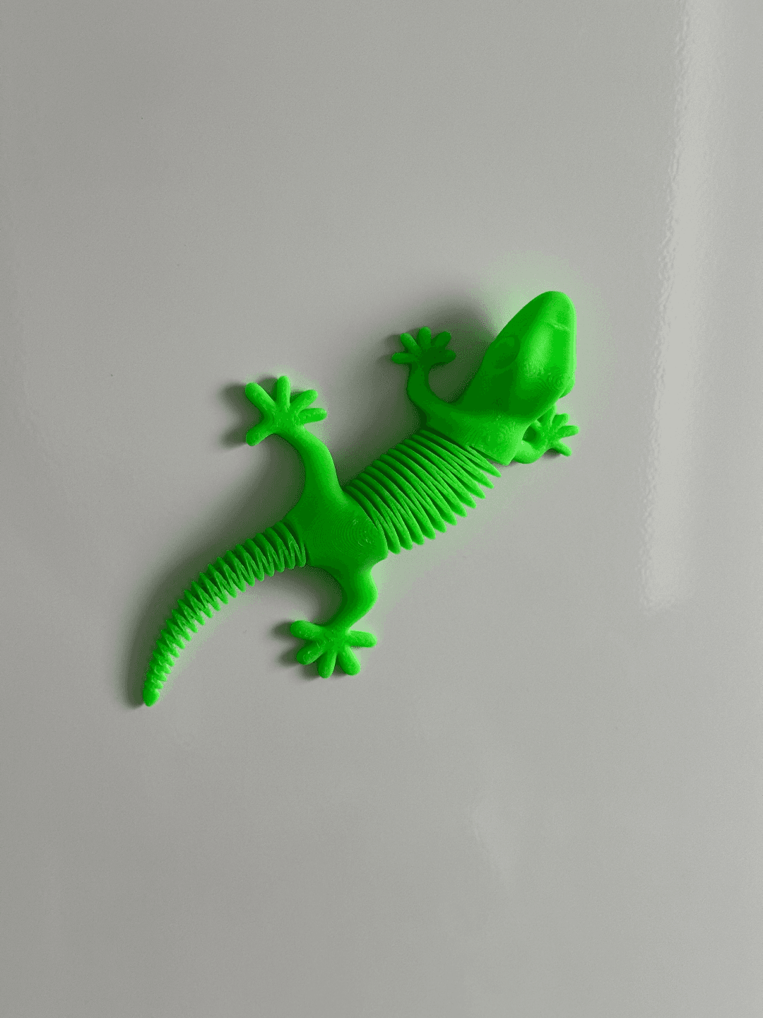 Super Magnétique Flexible Gecko - Image 2