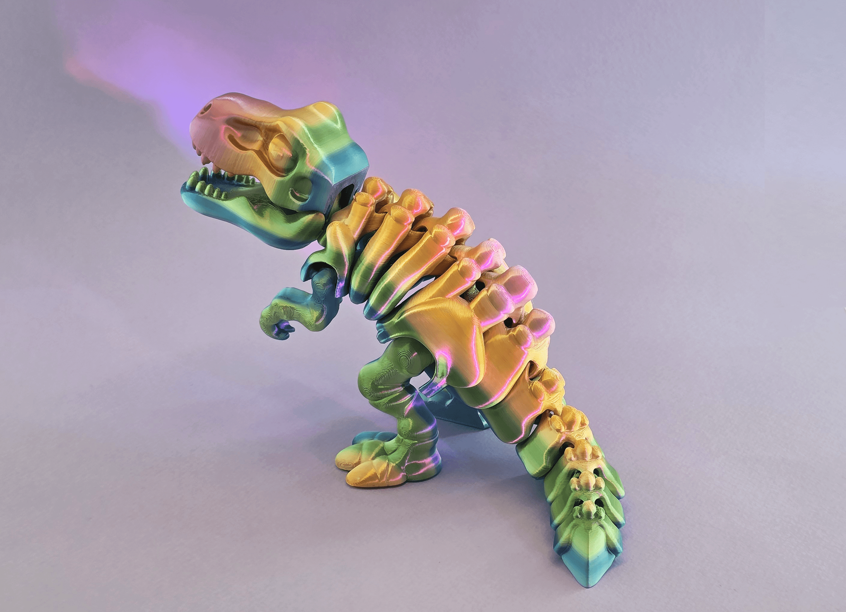 Flexible Squelette T-rex Dinosaure - Image 4
