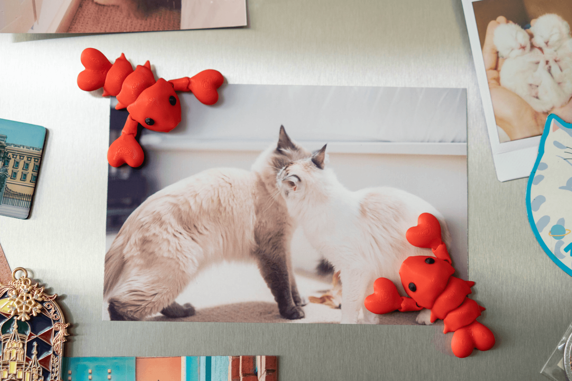 Flexible Homard Holding Claws Magnet Porte-clés - Image 3