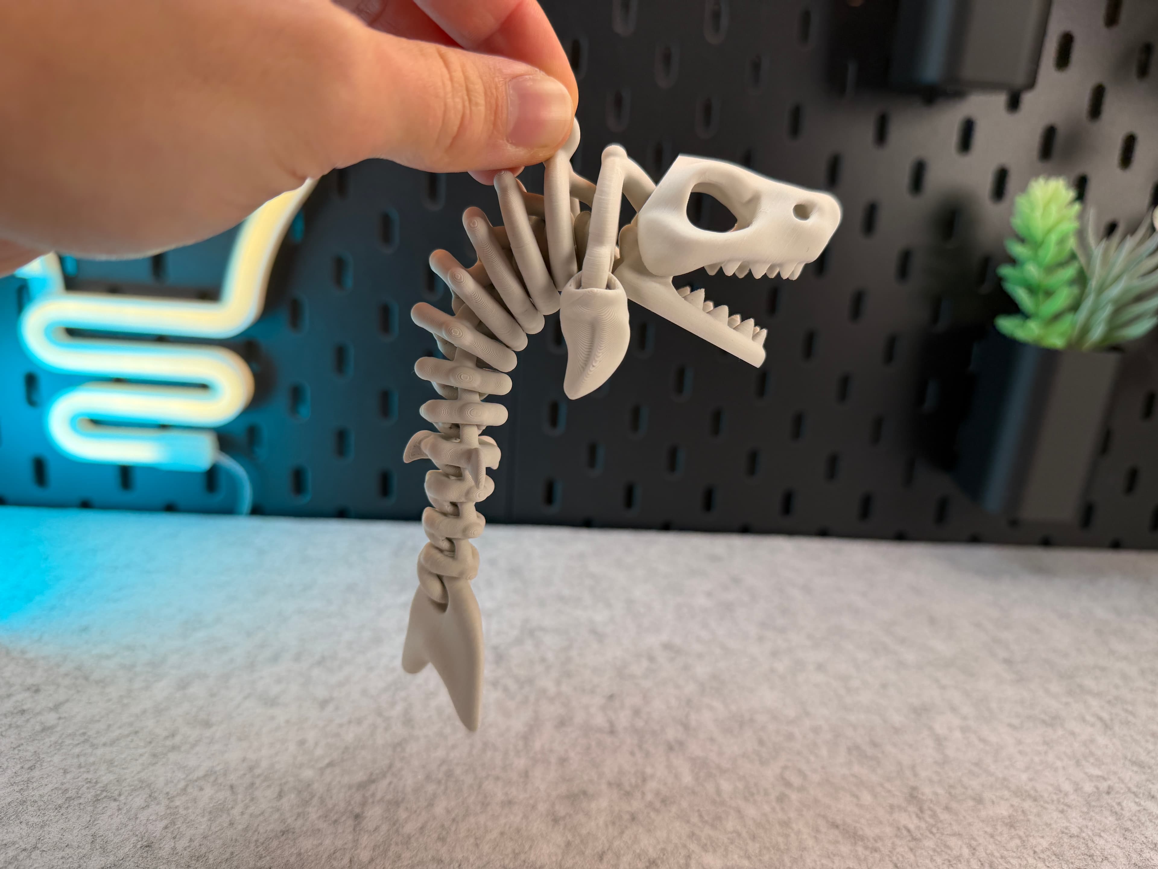 Articulé Squelette Requin - Image 2