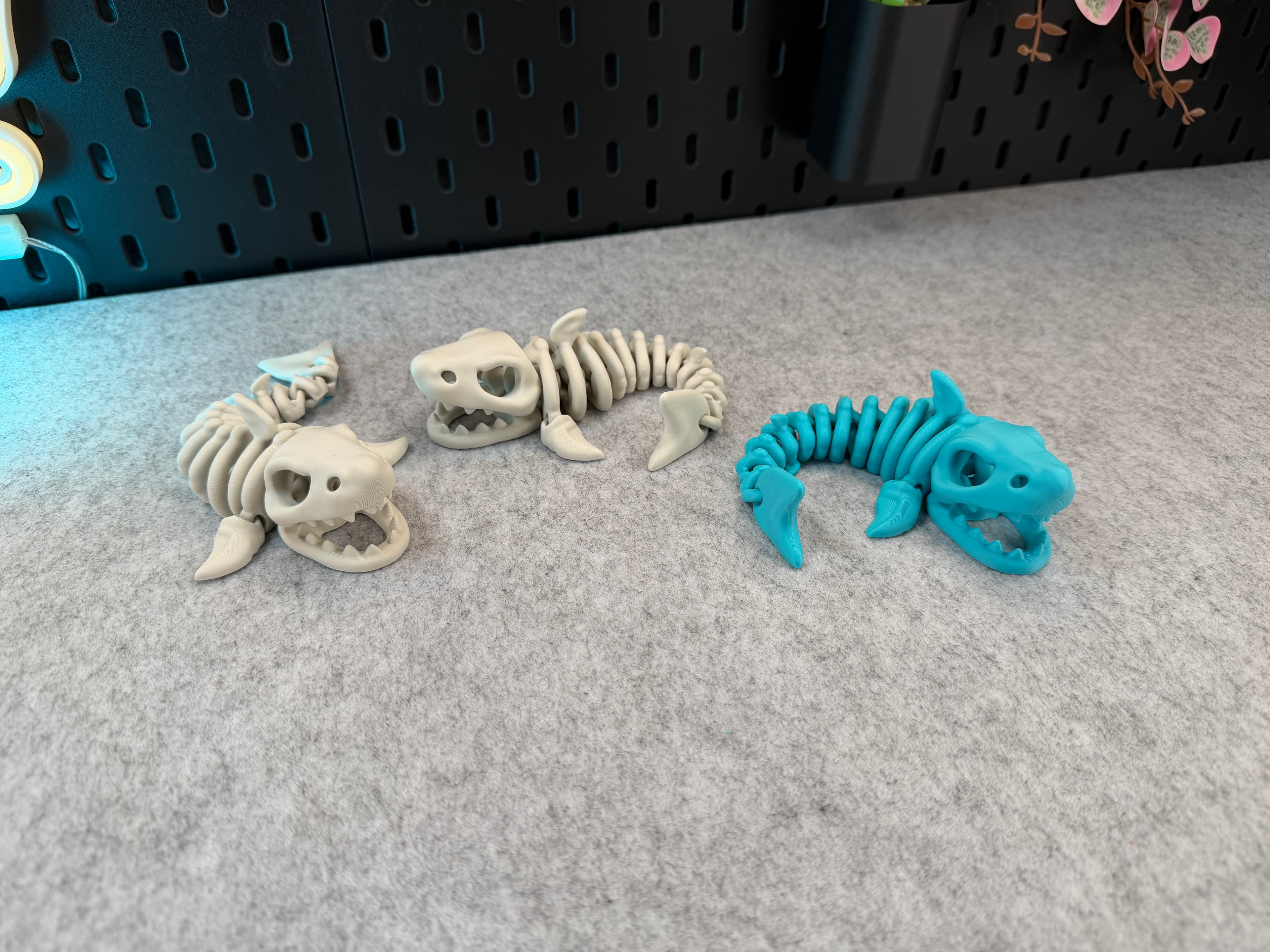 Articulé Squelette Requin - Image 5