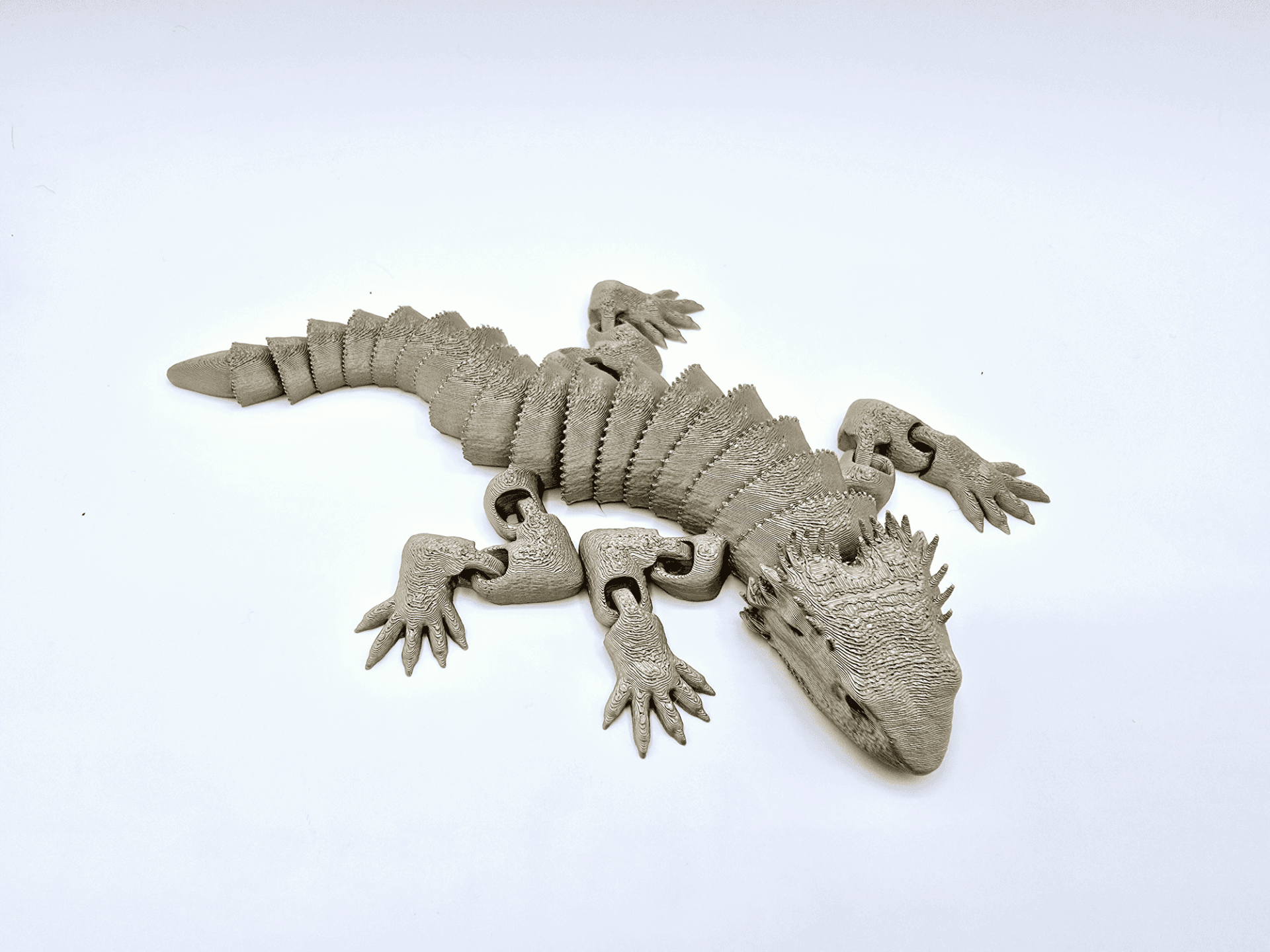 Flexible Bearded Dragon - Image 5