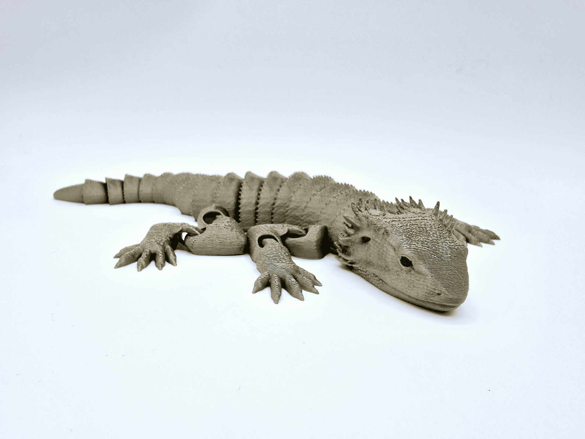 Flexible Bearded Dragon - Image 2