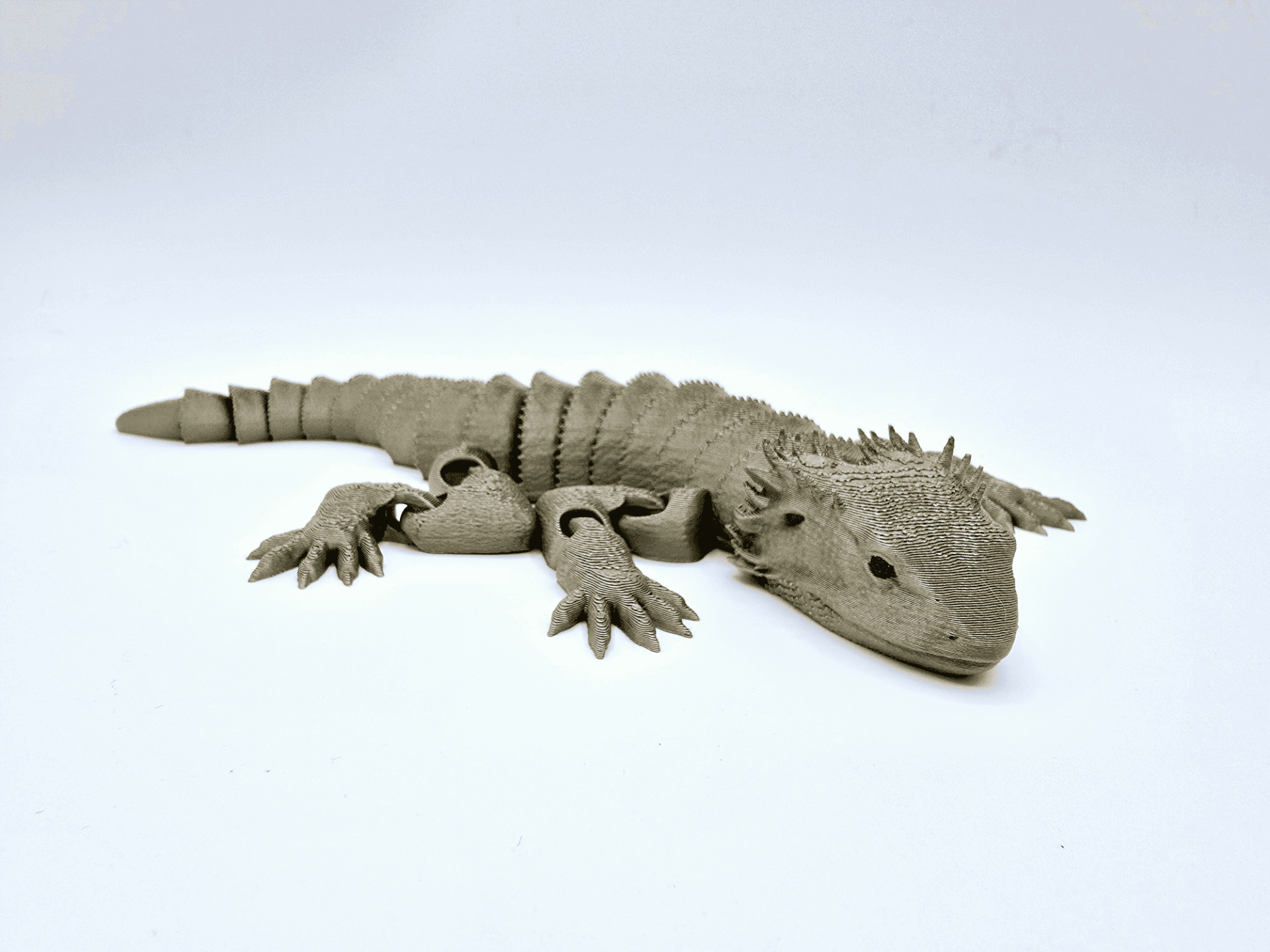 Flexible Bearded Dragon