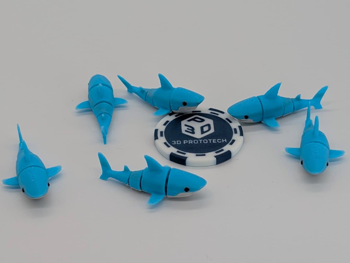 Tiny Requin - Image 5