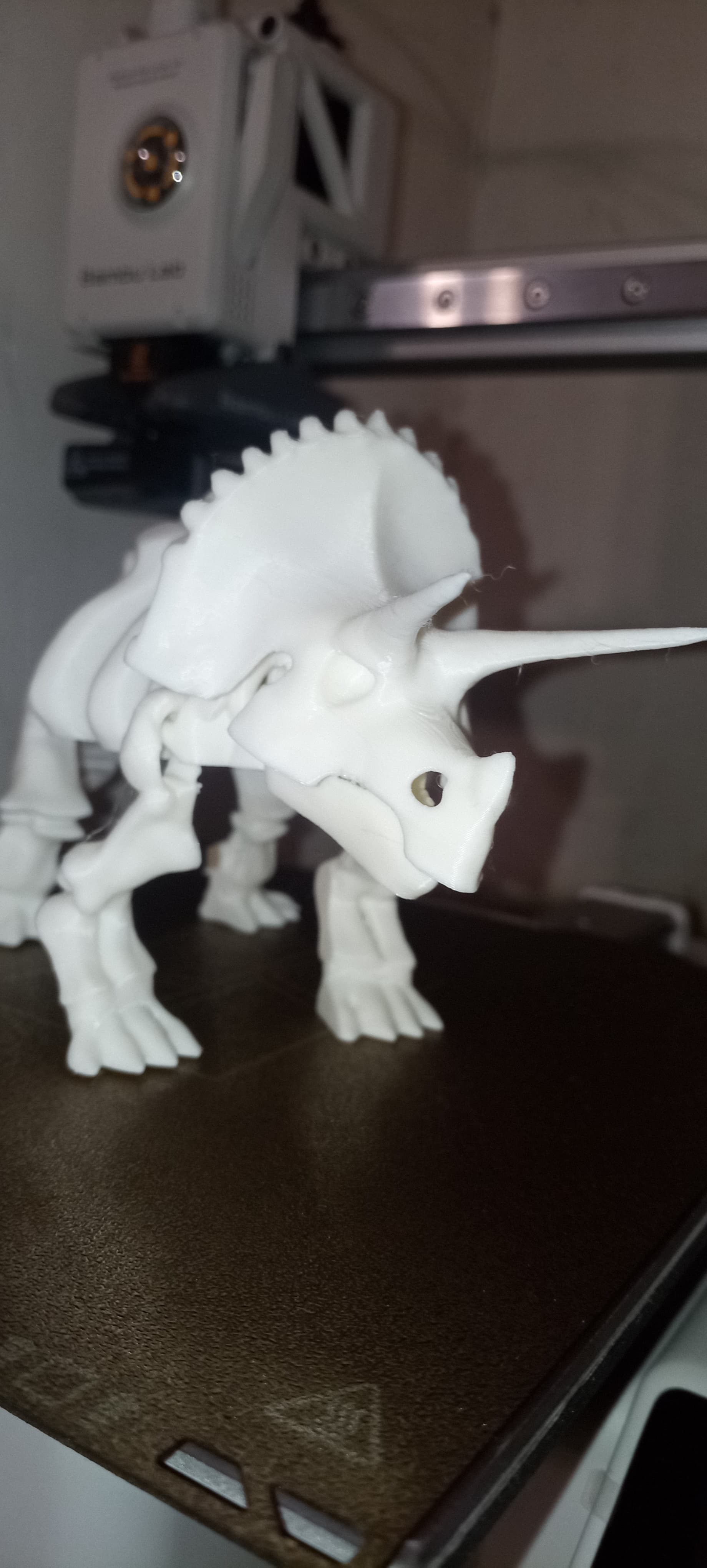 Articulé Squelette Triceratops Dinosaure - Image 5